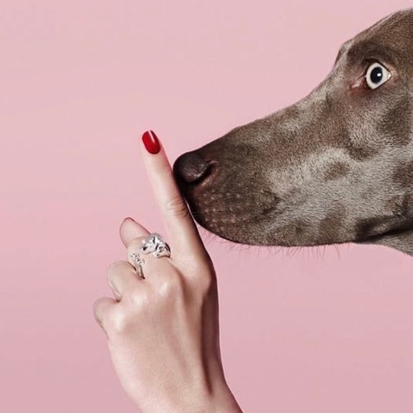 Meet your Posher, Nat - Picture 3 of 7